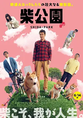 win11怎么升级