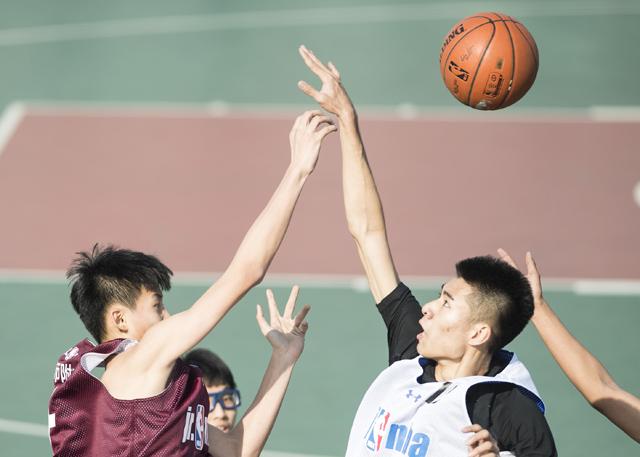 娇妻的呻吟小说全文阅读在线