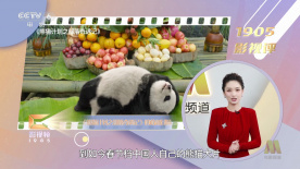 成年人在线免费